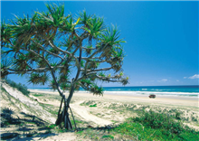 Fraser Island កោះឋានសួគ៌ ប្រទេសអូស្រ្តាលី