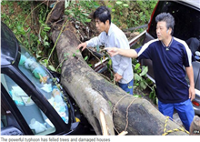 វុងហ្វុង ព្យុះទីហ្វុង ដ៏មានឥទ្ធិពល កំពុងតែធ្វើការបោកបក់ វាយប្រហារ មនុស្ស ៣០ នាក់ និងជើងហោះហើរ ជាង៣០០