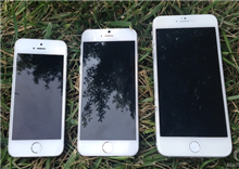 ដោយជឿជាក់យ៉ាងខ្លាំង Apple កុម្មង់ផលិត iPhone ជំនាន់ថ្មី ចាប់ពី ៧០ ទៅ ៨០លានគ្រឿង
