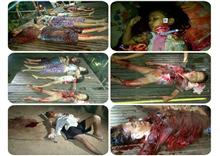 Update: ព័ត៌មានពិស្តារ ជុំវិញ ឃាតកម្មដ៏ឃោរឃៅសម្លាប់ផុតពូជ នៅកំពង់ចាម