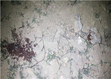 បុរសម្នាក់ត្រូវ​ឃាតករអារ.ក វាយនឹង​ដុំថ្មសម្លាប់ យ៉ាងអាណោចអាធ័ម