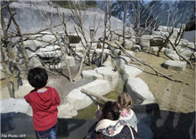 ពួកវា ជាចោរ High Class ខណៈ ប្រធានសួនសត្វ ហួសចិត្ត អស់ពាក្យ និយាយ