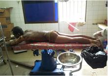 បុរសម្នាក់ខឹងគេ ដៀមដាមថា រំលោភជីដូនរបស់ខ្លួន យកប្រេងសាំងចាក់ ដុតខ្លួនឯង