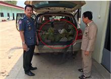 អនិច្ចាវាសនាសត្វស្វា! សមត្ថកិច្ចចម្រុះបង្ក្រាបរថយន្ត Highlander ដឹកសត្វស្វា៤៣ក្បាលប្រុងទៅវៀតណាម