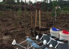 កូនឈើ៣ពាន់ដើម ត្រូវបានដាំនៅសួនអាពាហ៍ពិពាហ៍ ស្រុកកែវសីមា ក្នុងឱកាសថ្ងៃរុក្ខទិវា ៩កក្កដា