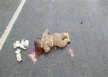 គួរឲ្យអាសូរបំផុត! រថយន្តបុកម៉ូតូស្លាប់មនុស្ស៣នាក់ ក្នុងនោះមានកុមារីអាយុ១ឆ្នាំម្នាក់ លើផ្លូវជាតិលេខ៣១