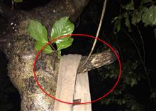 បុរសម្នាក់ តូចចិត្តគ្មានលុយដណ្តឹងប្រពន្ធ ចងកសម្លាប់ខ្លួន ដើម្បីបញ្ចប់បញ្ហា