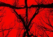 Blair Witch ឬ ព្រៃធ្មប់សណ្ឋិត តើនឹងអ្វីចម្លែក ក៏ដូចជា ព្រឺព្រួច? (Trailer Inside)