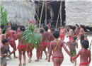 កុលសម្ព័ន្ធ Yanomami ដុតមនុស្សស្លាប់ក្លាយជាផេះ រួចយកមកបរិភោគ