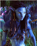Zoe Saldana របស់ Avatar ចង់កែសុដន់