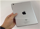 លេចចេញរូបភាពរបស់ Tablet iPad mini