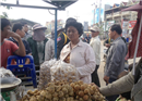 ក្រោយពី ចោរលួចលុយអស់ សន្សំបានតិចតួច ទិញរទេះដឹកផ្លែឈើលក់ ទិញចំរបស់ចោរ ម្ចាស់គេ តាម ទារ ផ្អើលពេញផ្លូវ
