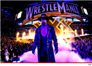 Undertaker ត្រូវបានបញ្ចូនទៅ មន្ទីរពេទ្យភ្លាមៗ បន្ទាប់ពីការចាញ់ដំបូងបំផុតនៅ WrestleMania លើកទី ៣០