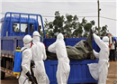ប្រទេសកាណាដា នឹងបរិច្ចាគ វ៉ាក់សាំងពិសោធន៏ ជំងឺ Ebola ដល់អង្គការសុខភាពពិភពលោក
