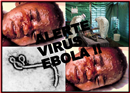 WHO ជម្ងឺអាសន្នរោគ Ebola រាតត្បាត កាន់តែសាហាវ គម្រាមគំហែង ដល់សុខមាលភាព ប្រជាជន សកលលោក
