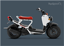 ប្លែកហើយ ទាក់ទាញទៀត ជាមួយ Honda Ruckus ស៊េរីឆ្នាំ 2015 តើលោកអ្នកធ្លាប់បានសាកហើយឬនៅ?