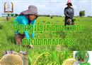 ធនាគារអភិវឌ្ឍន៍ជនបទ និងធនាគារស្រូវ អំពាវនាវឲ្យប្រជាជនកម្ពុជា ចូលរួមទិញអង្ករខ្មែរ ដើម្បីជួយកសិករខ្មែរ